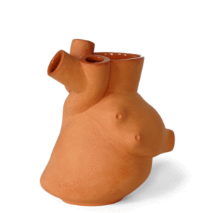 Vaseculaire Terracotta